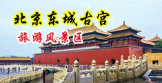 美女操大逼逼中国北京-东城古宫旅游风景区